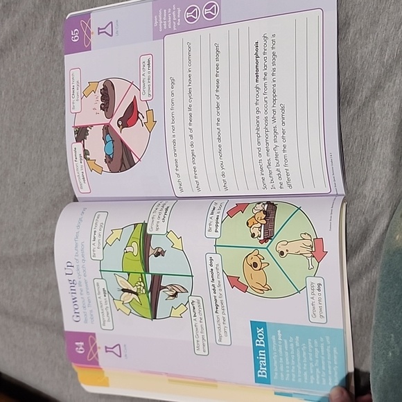 Brand new summer brain quest grades 2&3 - Picture 10 of 12